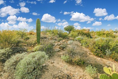 stone-canyon-lot-490-6