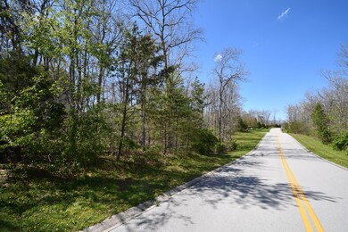 504 Riverchase Dr, Crossville, TN 38571 - photo 4