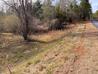 202 McGowan Springs Dr, Cross Hill, SC 29332 - photo 6