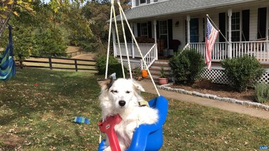 1776 Meadowview Ln, Ruckersville, VA 22968 - photo 6