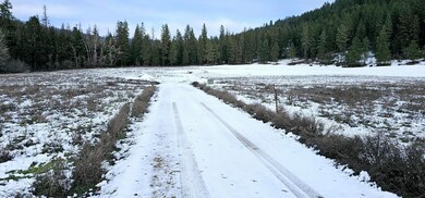 1707 Hwy 395 S, Chewelah, WA 99109 - photo 3