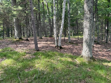 Lot 3 Pine Shore Ln, St. Germain, WI 54558 - photo 3