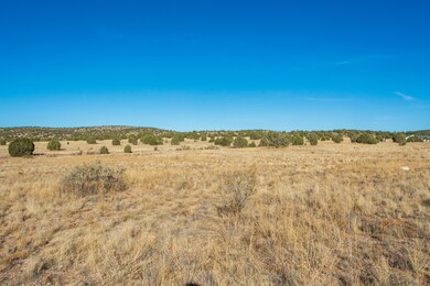 1120 E Cougar Ridge Rd, Paulden, AZ 86334 - photo 6