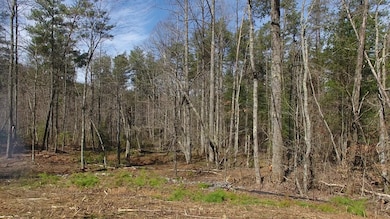 140 Autumn Fern Ln, Ellijay, GA 30536 - photo 4