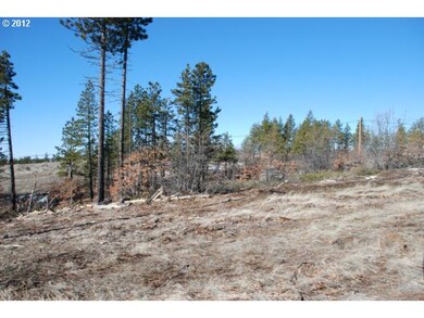 0 Timber unit 66 12454100, Bickleton, WA 99322 - photo 6