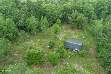 0 13 + - Ac Basin Central Rd, Lucedale, MS 39452 - photo 5