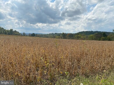 Lot 2 County Line Rd, Bechtelsville, PA 19505 - photo 5