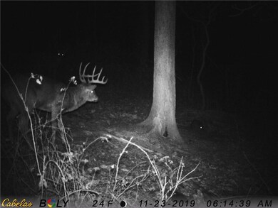 0 Jericho Rd, Glenmont, OH 44628 - photo 6