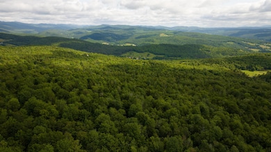 00 Albin Hill Rd, Braintree, VT 05060 - photo 7
