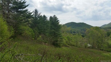 1628 Phipps Creek Rd, Burnsville, NC 28714 - photo 6