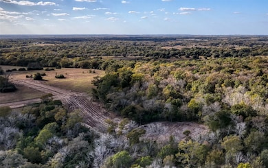 11 Prairie Blossom Way, Brenham, TX 77833 - photo 4