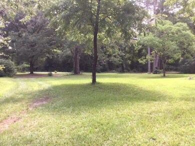 turner front yard