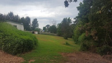 13298 Kenneth Price Rd, Elm Springs, AR 72762 - photo 3