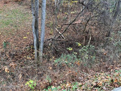 0 Pulaski Ln unit 1282050, Sevierville, TN 37862 - photo 2