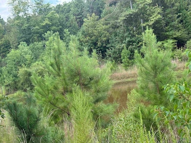 12543 Farm To Market 225, Cushing, TX 75760 - photo 4