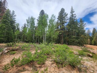 Prime Corner Lot in Duck Creek Village