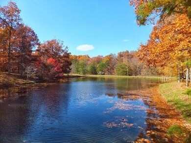 On Daddy's creek