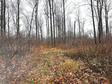 1141 12th Ave, Barron, WI 54812 - photo 4