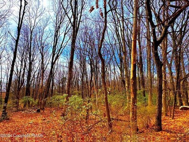 327 Maple Rd, Effort, PA 18330 - photo 4