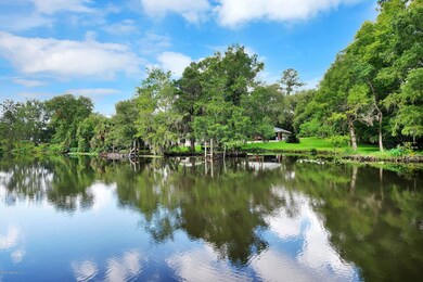 1556 E Mardis Place, Jacksonville, FL 32205 - photo 2