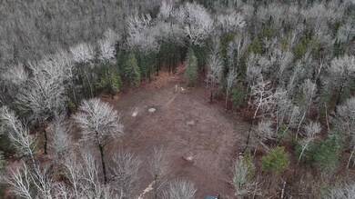 5xxx Highway 194, Hermantown, MN 55811 - photo 4