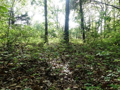 0 Tbd Nina St, Dixon, MO 65459 - photo 6