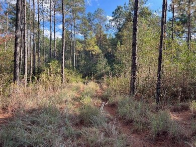 25 ac Smyrna Rd, Florala, AL 36442 - photo 7