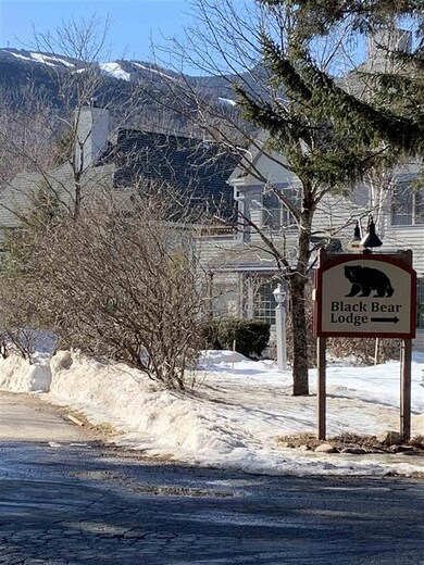 23 Black Bear Way unit 514, Waterville Valley, NH 03215 - photo 5