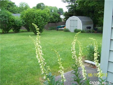 Yard/Garden