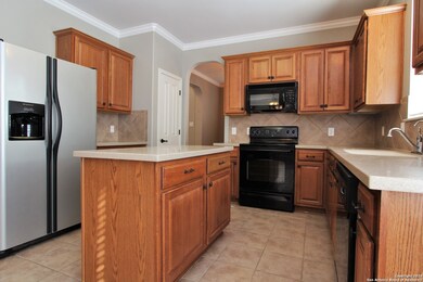 25615 Sago Palm, San Antonio, TX 78261 - photo 4