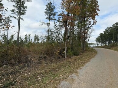 0 Cr 472 unit 144947, Meridian, MS 39301 - photo 5