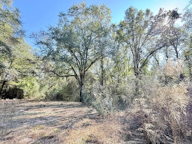 5343 Alabama 153, Samson, AL 36477 - photo 6