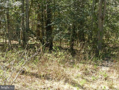 0 Birch Ln unit 1000408397, Colonial Beach, VA 22443 - photo 4