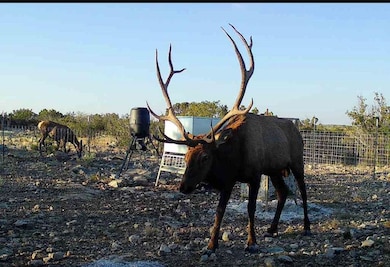 Rd, Comstock, TX 78837 - photo 2