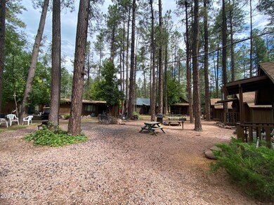 3 Open Area (Grey Hackle Cabins)