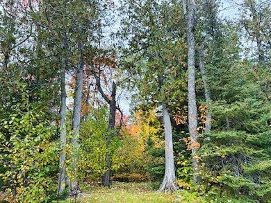 1541 Camp 20 Rd, Hovland, MN 55606 - photo 5