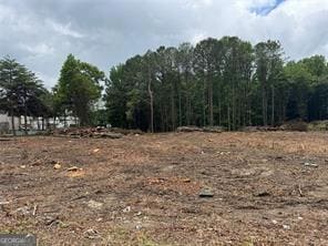 2949 Rosebud Rd, Snellville, GA 30078 - photo 5