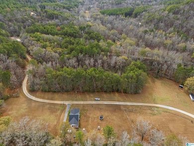 Lot 12 County Road 219, Piedmont, AL 36272 - photo 5
