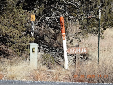 16 Calle Largo, Ribera, NM 87560 - photo 2