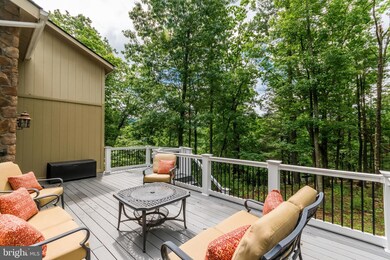 65 Nelson Way, Basye, VA 22810 - photo 6