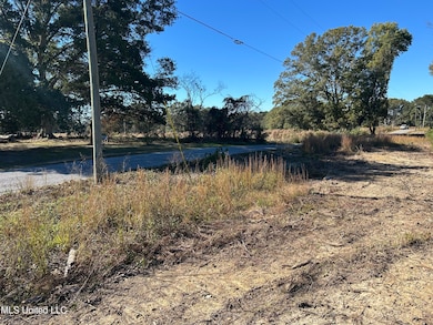 0 Warren Cook Rd, Mendenhall, MS 39114 - photo 2