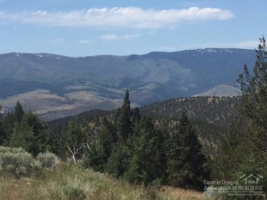 0 Shop Gulch unit 201705141, Mount Vernon, OR 97865 - photo 2