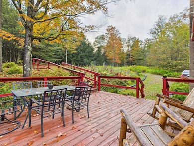 4507 Cherry Springs Rd, Coudersport, PA 16915 - photo 5