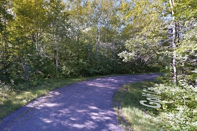 0 Golf Cir unit 25696193, Garrison, MN 56450 - photo 2