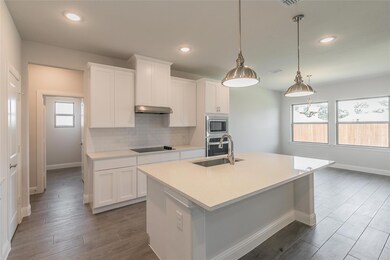 209 Magnolia Dr, Azle, TX 76020 - photo 3