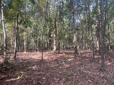 TBD Pulaski Dr E, Hampton, SC 29924 - photo 7