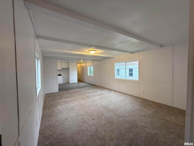 2520 New Era Rd unit 13, Murphysboro, IL 62966 - photo 7