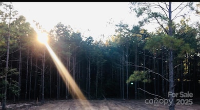 1561 Jones Rd, Kershaw, SC 29067 - photo 3