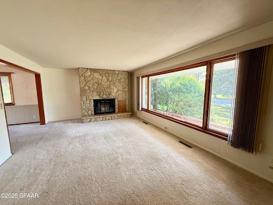 1010 Arnold Ave N, Thief River Falls, MN 56701 - photo 3