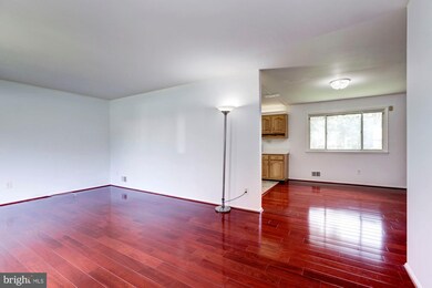 13229 Greenmount Ave, Beltsville, MD 20705 - photo 5